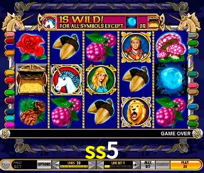 Descubra o Mundo do Cassino Online com ss5